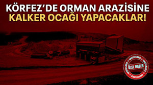 Körfez’de orman arazisine kalker ocağı yapacaklar!